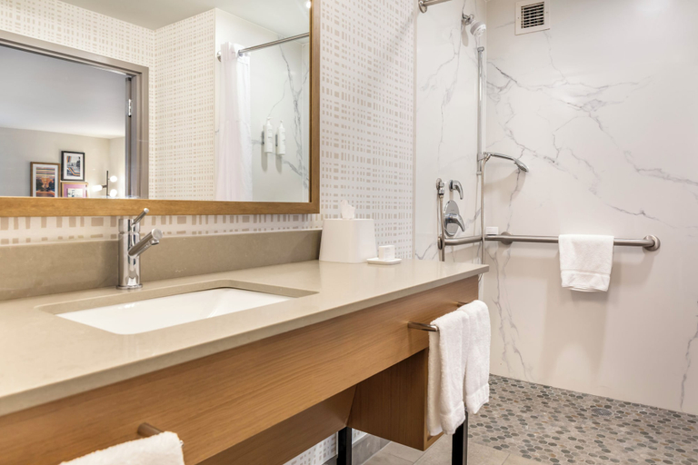 Bathroom 4, Hampton Inn & Suites Cincinnati/Uptown-University Area, Cincinnati