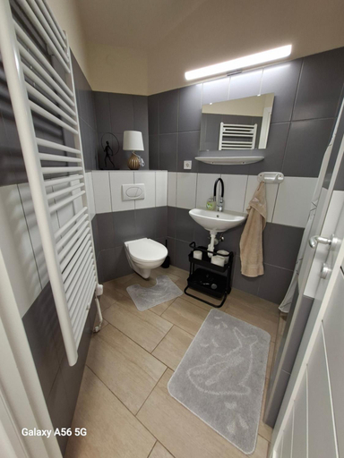 Bathroom 4, Tolgyfa Vendeghaz, Kiskőrös