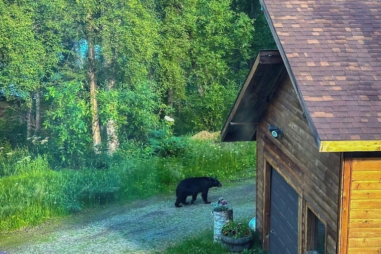 Interior 3, Remote 2BR Log Cabin Tucked Outside Anchorage, Anchorage