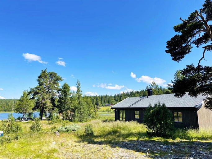 Others 3, Mountain Lodge - Friisvegen Masaplassen, Ringebu