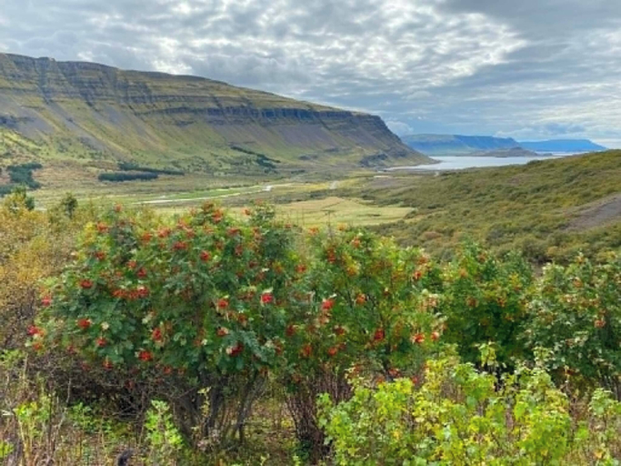 Primary image, Tranquil Countryside Retreat in Hvalfjordur, Iceland, Hvalfjarðarstrandarhreppur