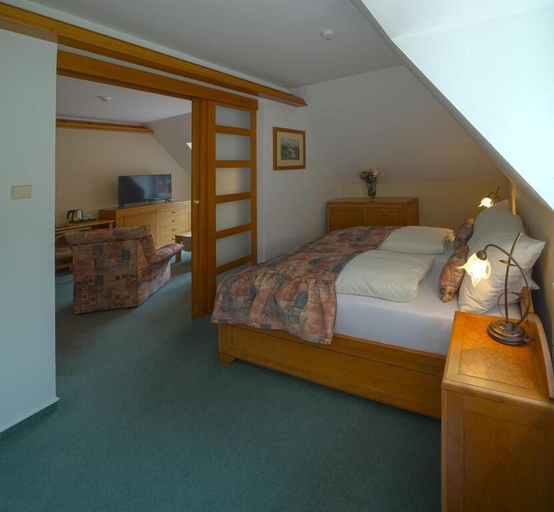 Room 2, Wellness Hotel PRAHA, Děčín