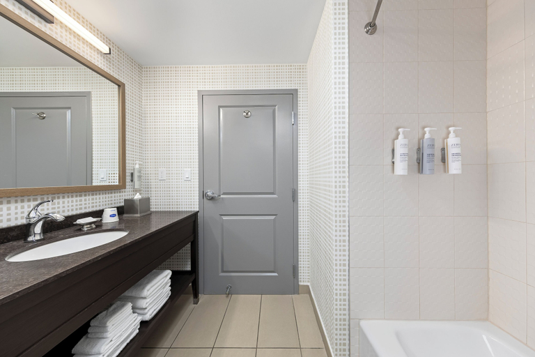 Bathroom 4, Hampton Inn by Hilton Halifax Downtown, Halifax
