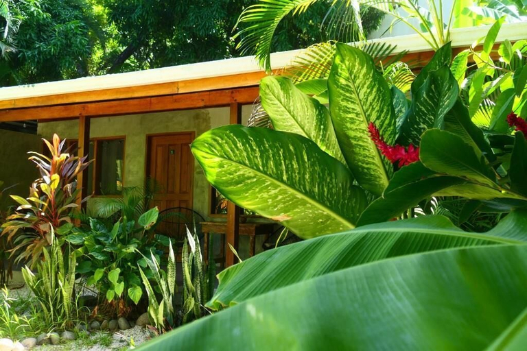 Property grounds 2, Cabinas Playa Surf Hostel, Puntarenas