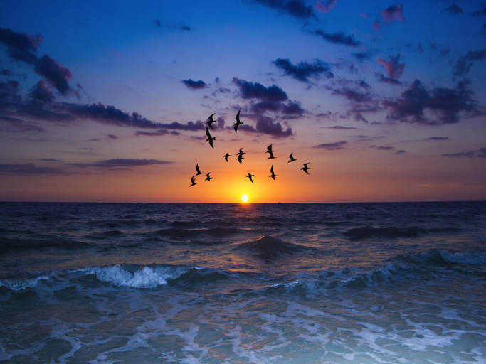 Others 4, Villa on Point Brittany 21 by Distinctive Beach Rentals, Pinellas