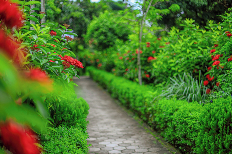 Property grounds 3, Batika Resort Sauraha, Narayani