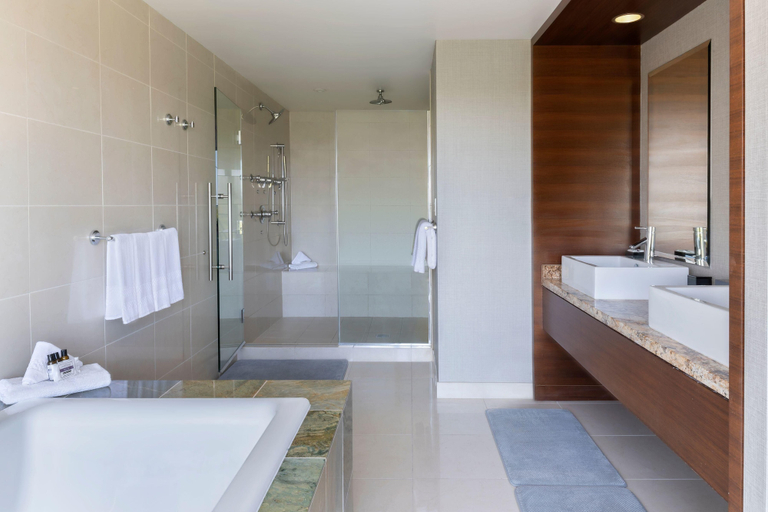 Bathroom 4, Hyatt Regency OHare Chicago, Cook