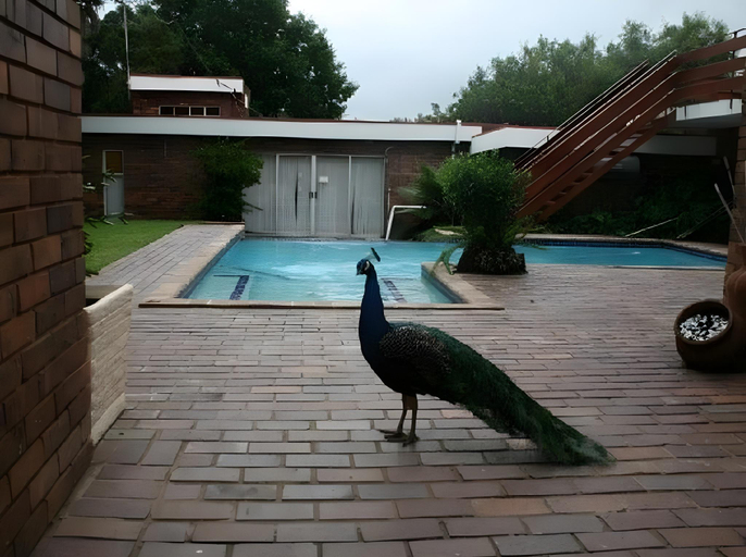 Others 4, Ancient Windmill Guesthouse and Conference Venue, Ekurhuleni