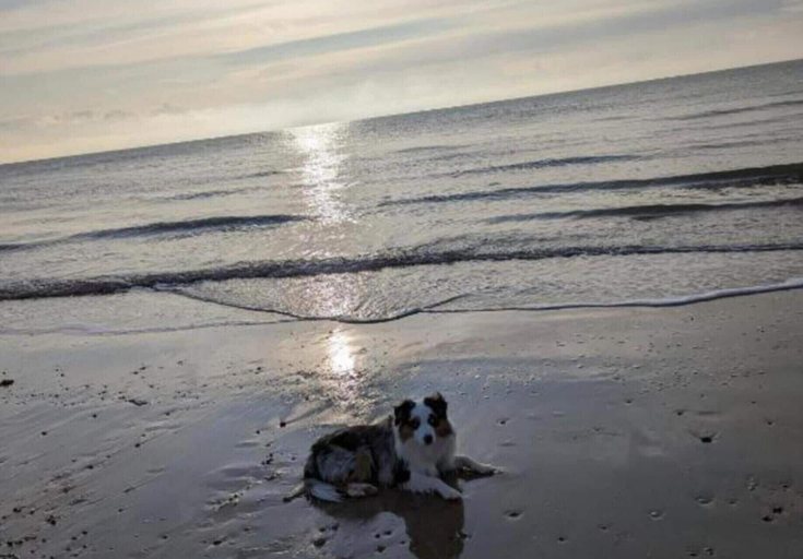 Beach, Walton Beach 1-bed Cottage, Sleeps 2 With Parking, Essex