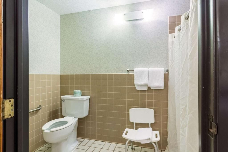 Bathroom 4, Red Wing Inn and Suite, Goodhue