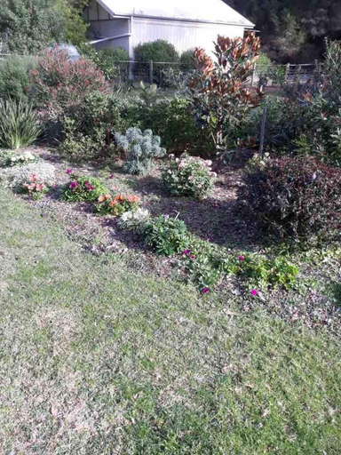 Garden 3, Burrunan Retreat Raymond Island, E. Gippsland - Bairnsdale