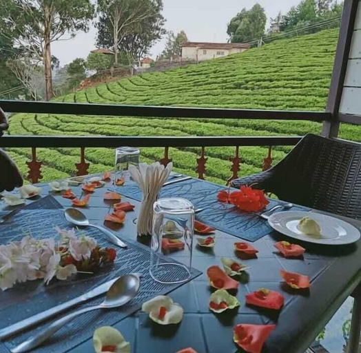 Food & Drinks 4, Lakshmi Retreat, The Nilgiris