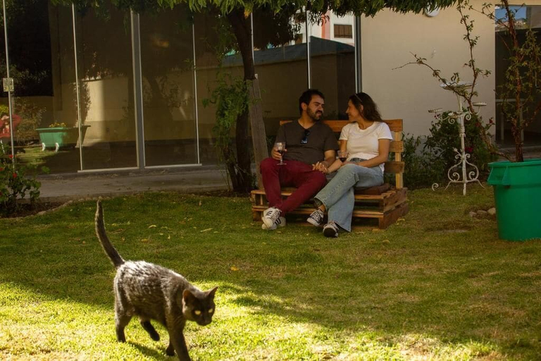 Property grounds, Casa Rumi Guesthouse, Pedro Domingo Murillo