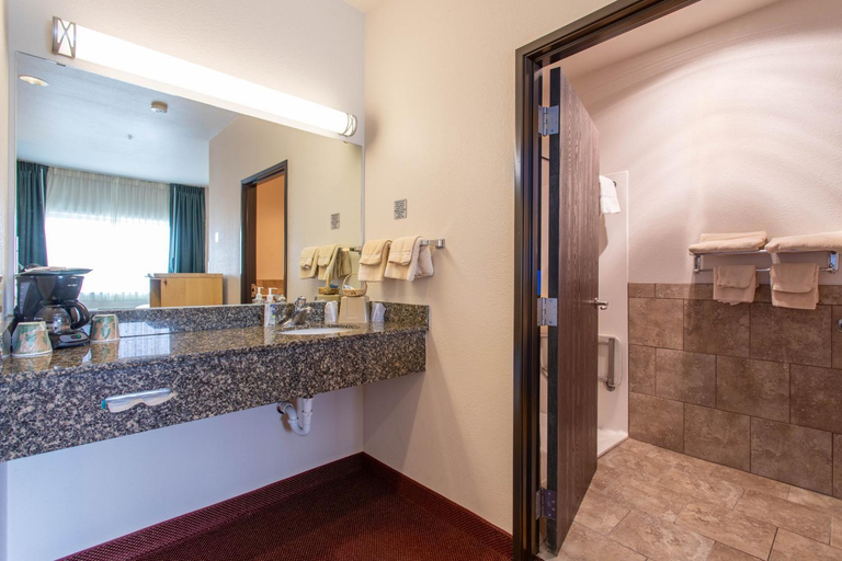 Bathroom 4, North Park Inn & Suites, Jackson