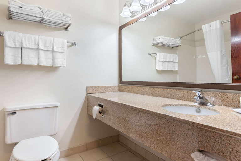 Bathroom 4, Quality Inn Fairborn near Wright Patterson AFB, Greene