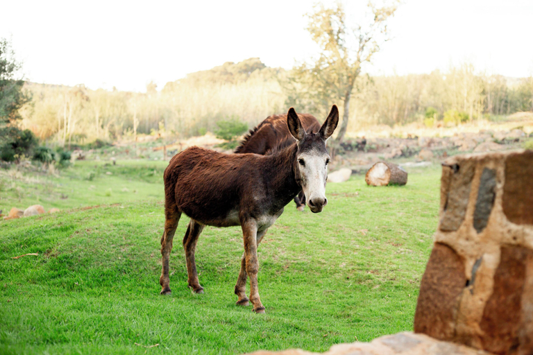 Others 5, RIVERMAN CABIN COUNTRY LODGE, Sekhukhune
