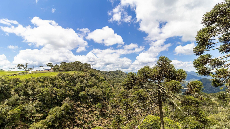 Miscellaneous, Araucaria Cabin With Jacuzzi in Urubici Par0002, Urubici