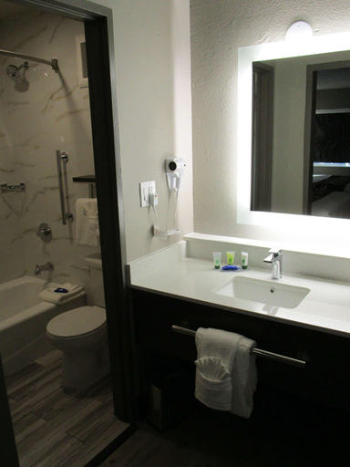 Bathroom 4, SureStay Plus Hotel by Best Western Point Richmond, Contra Costa