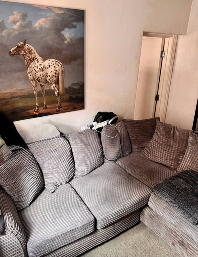Living area 2, Cosy, One-bedroom Flat in Tottenham, London