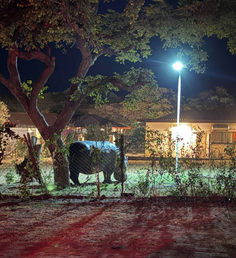 Miscellaneous 4, Spacious 3-bedroom House Rental Near Victoria Falls, Hwange