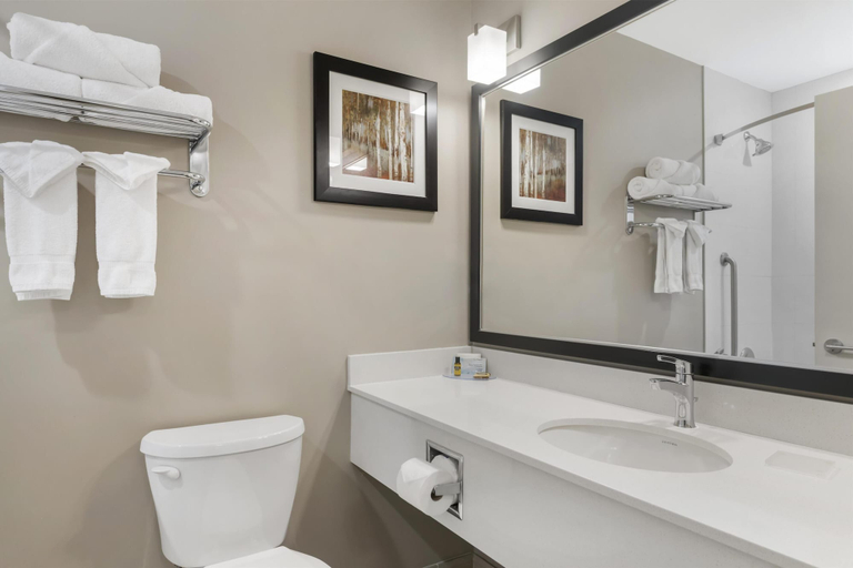 Bathroom 4, Best Western Plus Merritt Hotel, Thompson-Nicola