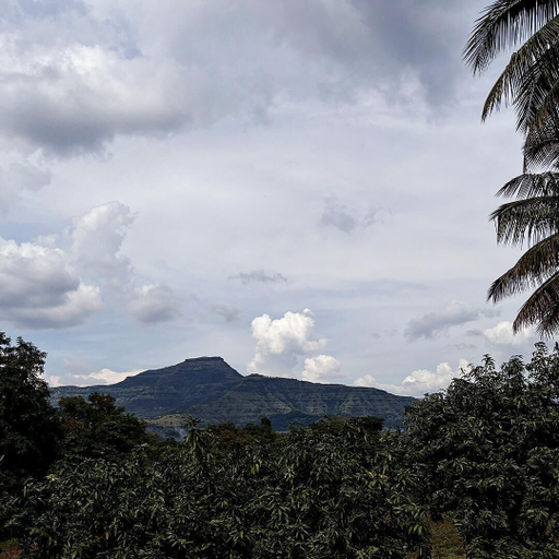 Miscellaneous, Anandvan Holiday Homes, Satara