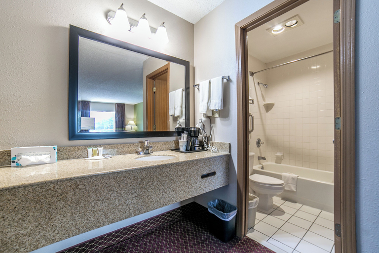 Bathroom 5, Eureka Springs indoor pool hotel, Carroll