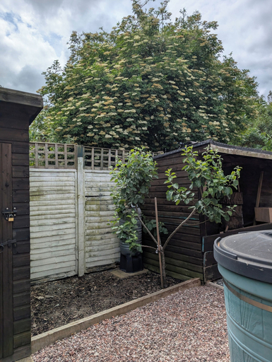 Property grounds 5, Apartment Sleeps 2 With Garden & Free Parking, Oxfordshire