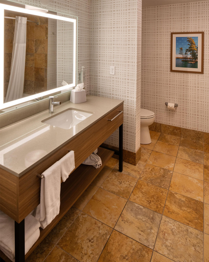 Bathroom 5, Hampton Inn Tomah, Monroe