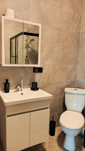 Bathroom 3, Lemon Garden, Antalya