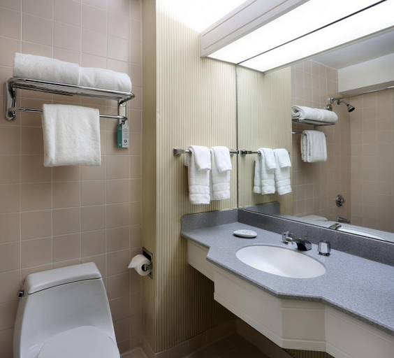 Bathroom 2, Crowne Plaza Manhattan Times Square, New York