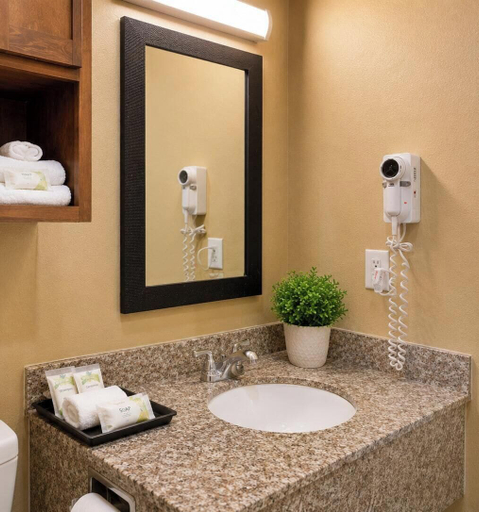 Bathroom 4, Texas Bungalows Hotel & Hotel Que at Lakeline Austin Cedar Park, Williamson