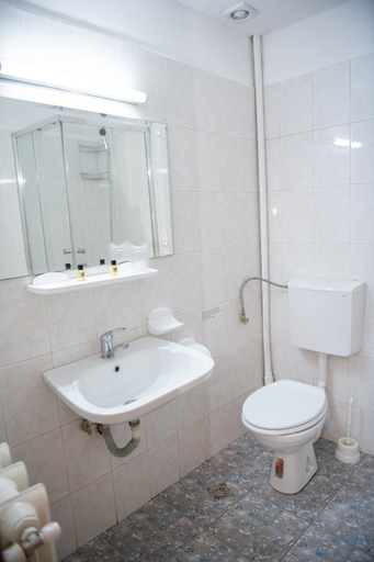 Bathroom 2, Vila Crinilor Caciulata, Calimanesti