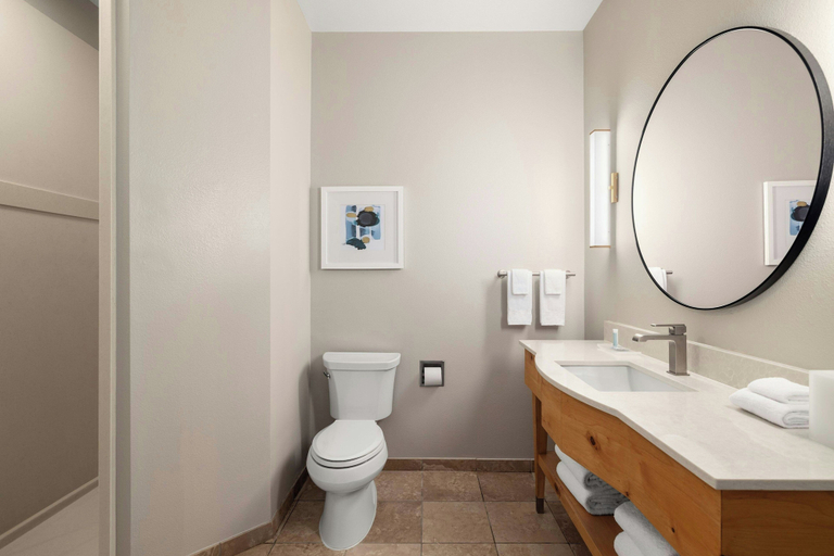 Bathroom 4, TownePlace Suites by Marriott Minot, Ward