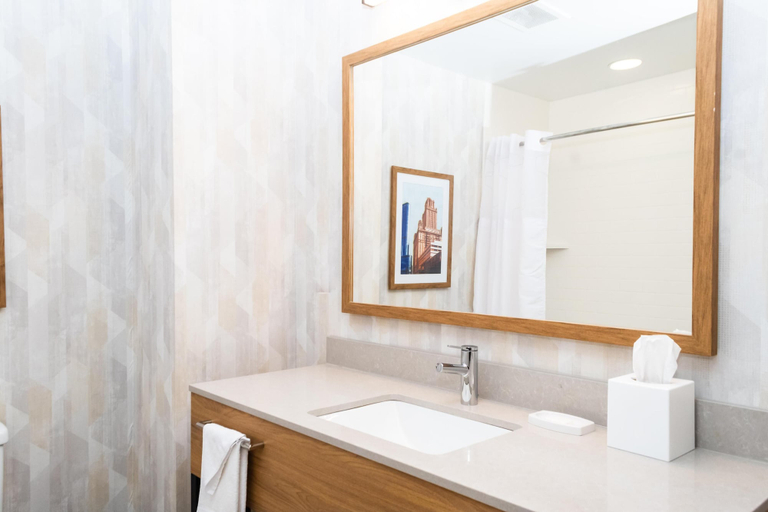 Bathroom 4, Hampton Inn & Suites Addison, Dupage