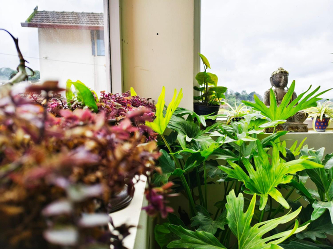 Exterior & Views 1, The two bedroom house , Kodagu