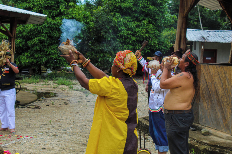 Others 5, ingaru lodge, Tena