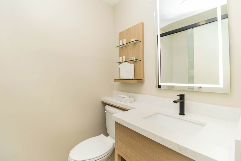 Bathroom 4, Ramada by Wyndham Davenport Orlando South, Polk
