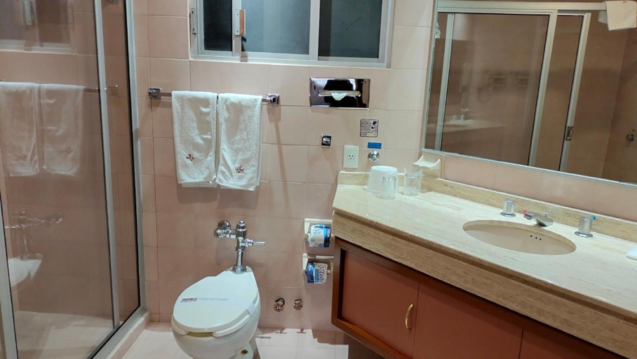 Bathroom 4, Hotel Metropol, Mexico City