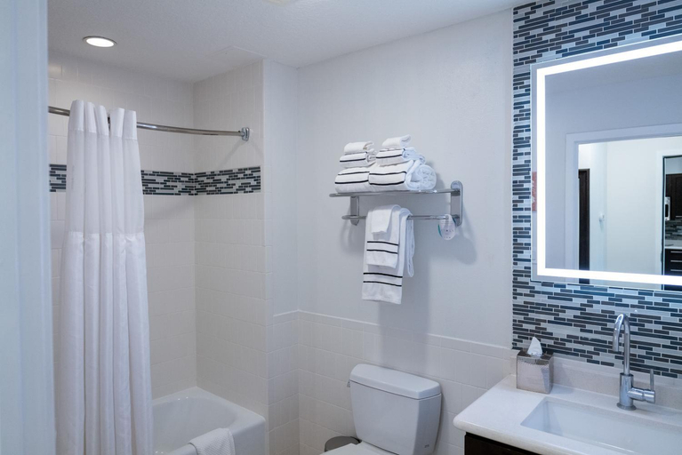 Bathroom 4, MELIA ORLANDO, Osceola