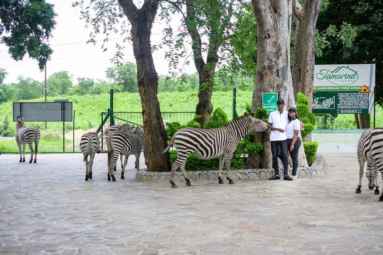 5, Tamarind Holiday and Conference Resort, Kariba