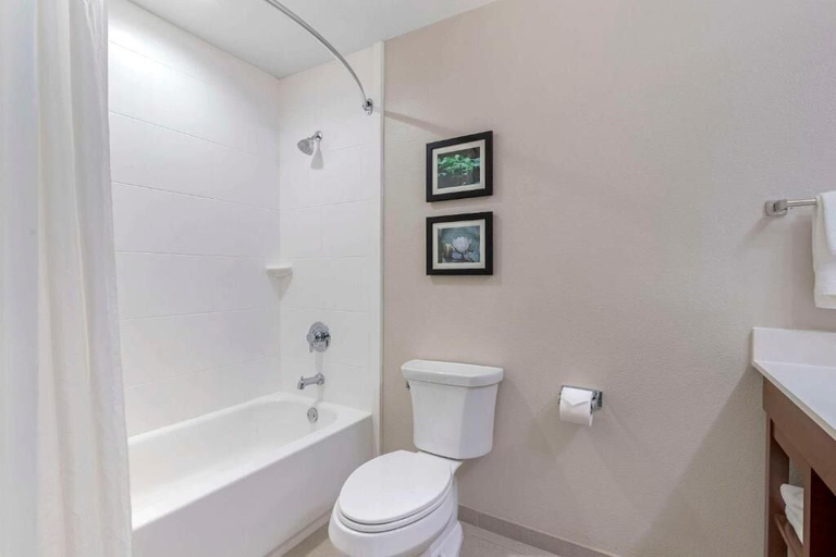 Bathroom 4, Comfort Inn & Suites Brunswick I-95, Glynn