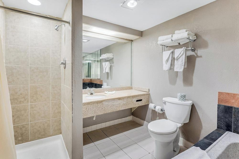 Bathroom 5, Red Carpet Inn & Suites, Philadelphia