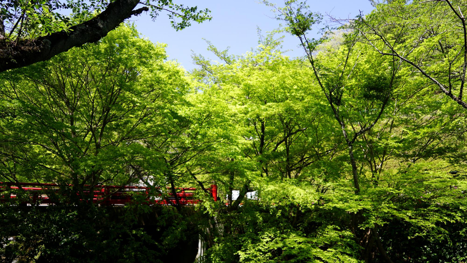 Others 5, Sanage Onsen Hotel Kinsenkaku, Toyota