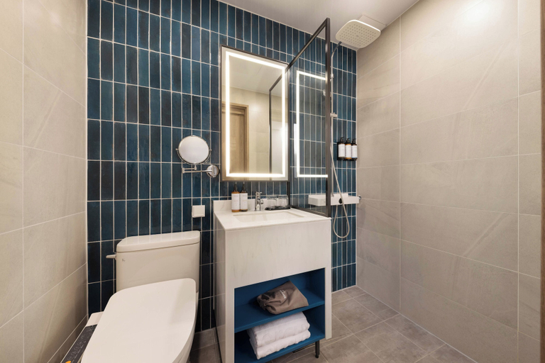 Bathroom 4, Mercure Ambassador Seoul Dongdaemun, Jung