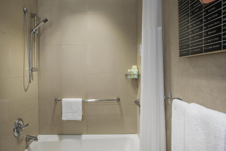 Bathroom 4, Hyatt Grand Central New York, New York
