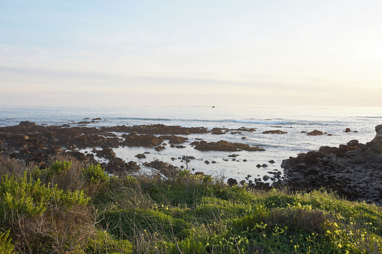 Miscellaneous 3, Herons Lodge, Monterey