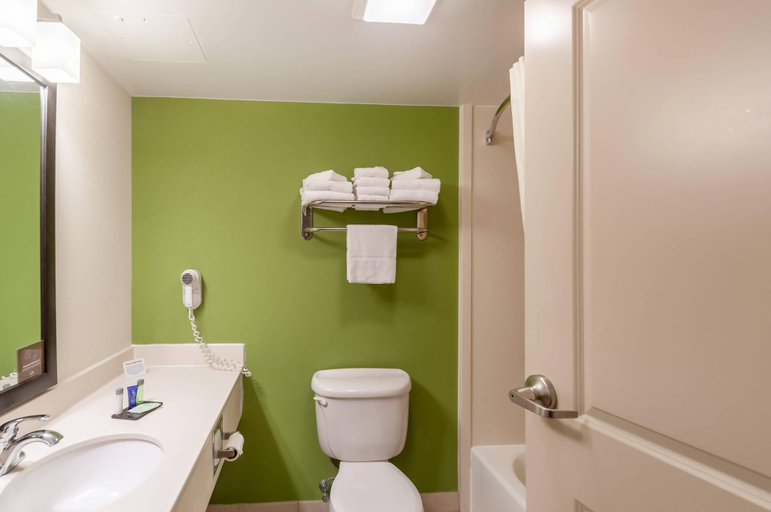 Bathroom 4, Sleep Inn & Suites Harrisonburg near University, Harrisonburg