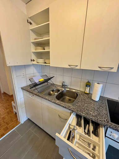 Private kitchen 3, Basic 2 BR Apartment in Witikon district, Zürich