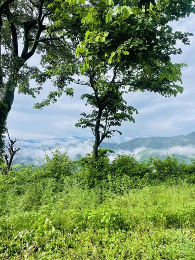 Miscellaneous 4, ameya adventure resort, Garhwal